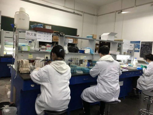 感受生物科技，创造无限未来——生物化工产品技术研发的社会实践体会