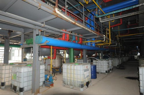 章丘龙翔树莓生物科技 引领生物化工产品技术研发新篇章