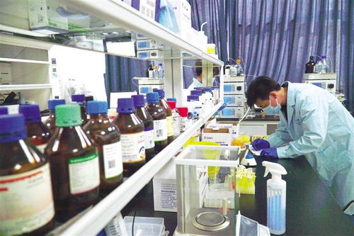 兰州高新区 以项目化工程化推动生物医药产业升级，加速打造百亿级生物化工产业园区