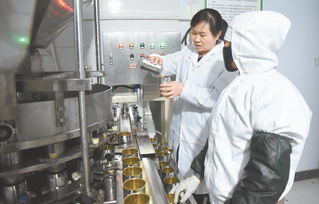 绿色技术创新 青海省蚕豆罐头研发助力生物化工新突破